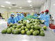Vietnam urged to strengthen economic resilience while sustaining strong growth